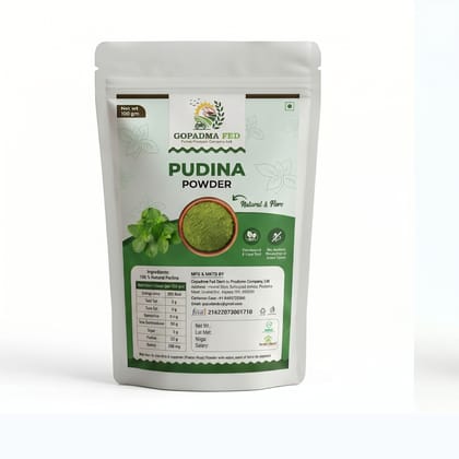 Pudina Powder - 100 gm - 100 gm - One pouch of mint powder
