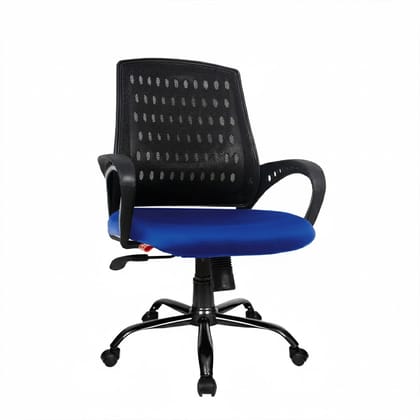ROSE Mesh Mid-Back Ergonomic Office Chair (Blazia)