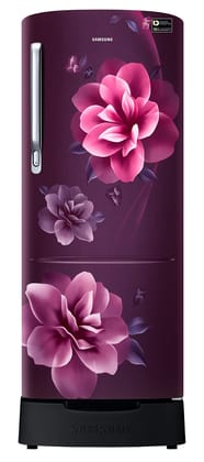 Samsung 223L 3 Star Inverter Direct-Cool Single Door Refrigerator Appliance (RR24C2823CR/NL,Camellia Purple) Base Stand Drawer Samsung 223L 3 Star Inverter Direct-Cool Single Door Refrigerator Appliance (RR24C2823CR/NL,Camellia Purple) Base Stand Drawer 