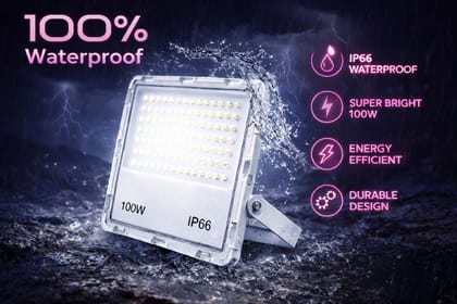 SPARKWORLD 100W Lens Model LED Flood Light IP66 Waterproof Outdoor Lamp (Pink)