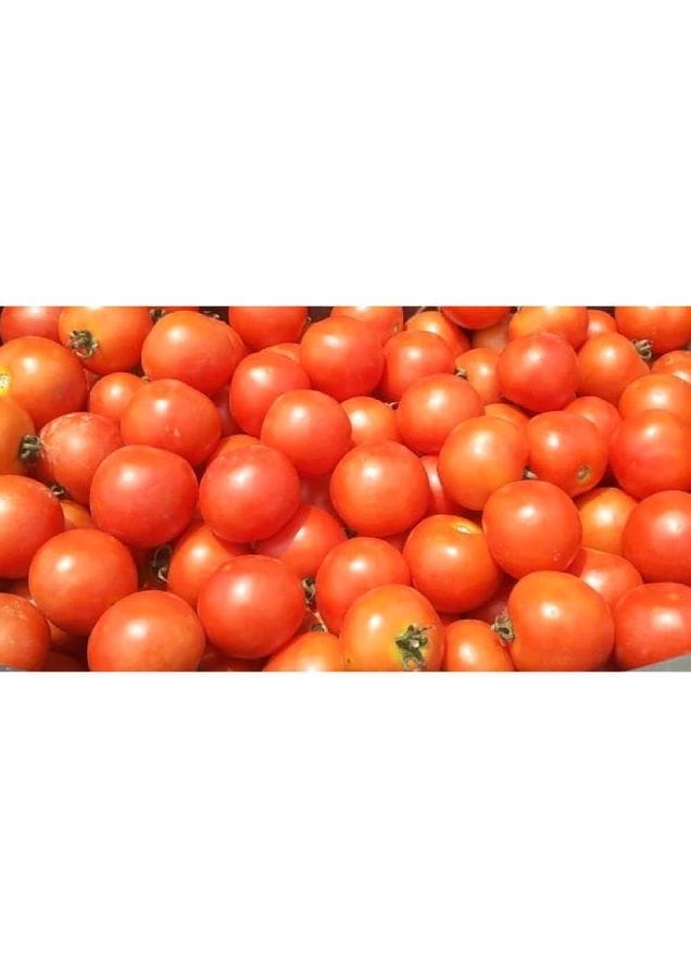 Tomato - 1 kg