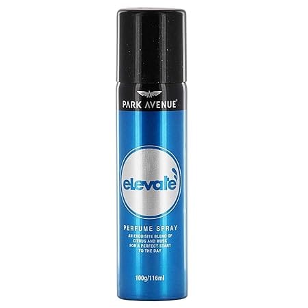 Park Avenue Elevate Perfume Spray, 100g