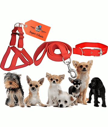 super chain - Blue Combo (Collar Harness and Leash) ( Medium )