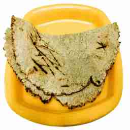Jowar roti