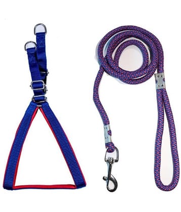 Tame Love - Multicolor Dog Combo (Small)