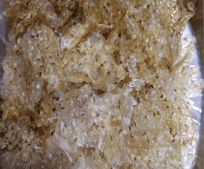 Sabudana Papad