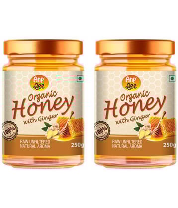 ANP BEE Honey Organic Ginger Honey 250 g Pack of 2