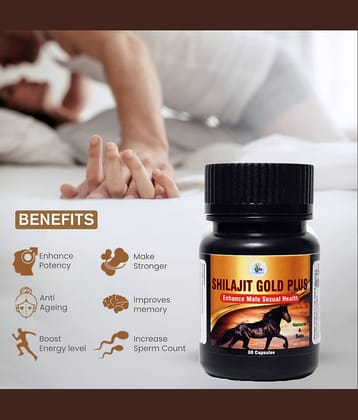 Shilajit Gold plus | Premium Vitality | Ayurvedic Supplement 30 Capsules