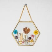 Hexagon Brass Pressed Flower Frame Artistic Hanging Botanical Wall Art