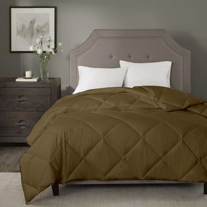 Razzai Summer Season 100 GSM Ac Comforter Super Soft Fluffy Comforter |Silver-Double / Beige