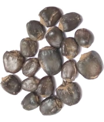 VINARGHYA Bhilawa / Bhilawan / Bibba / Compal/ Kalakam/ Kavaka / Bhallatamu 100 gm