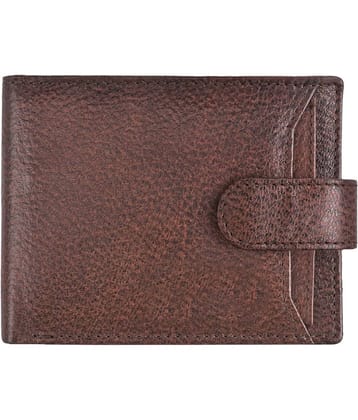 GEEO - Brown Leather Men's Anti-theft Wallet ( Pack of 1 )