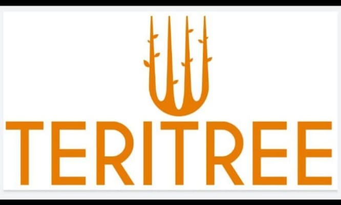 Teritree