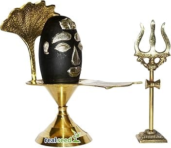 REAL SEED Narmedaswar Shivling from River Narmada with Brass Jilhari and Trishul (Silver Jewel Decoration)