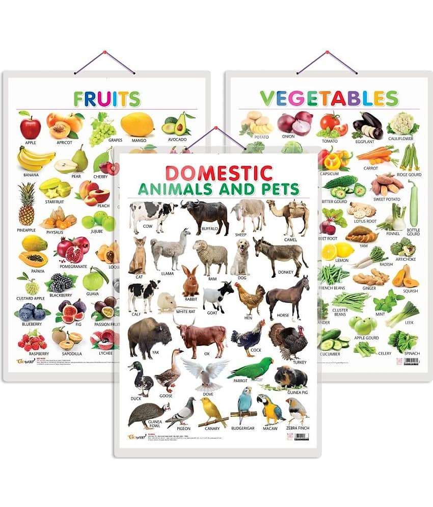 Set of 3 Fruits, Vegetables and Domestic Animals and Pets Early Learning Educational Charts for Kids | 20"X30" inch |Non-Tearable and Waterproof | Double Sided Laminated | Perfect for Homeschooling, Kindergarten and Nursery Students