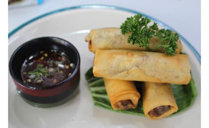 Spring Rolls