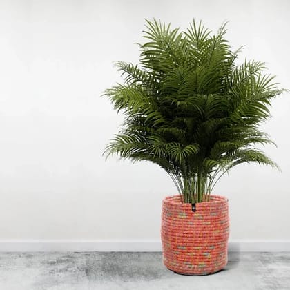 Roseate Fabric Plant Holder