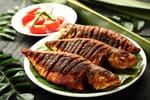 Fish N Fish