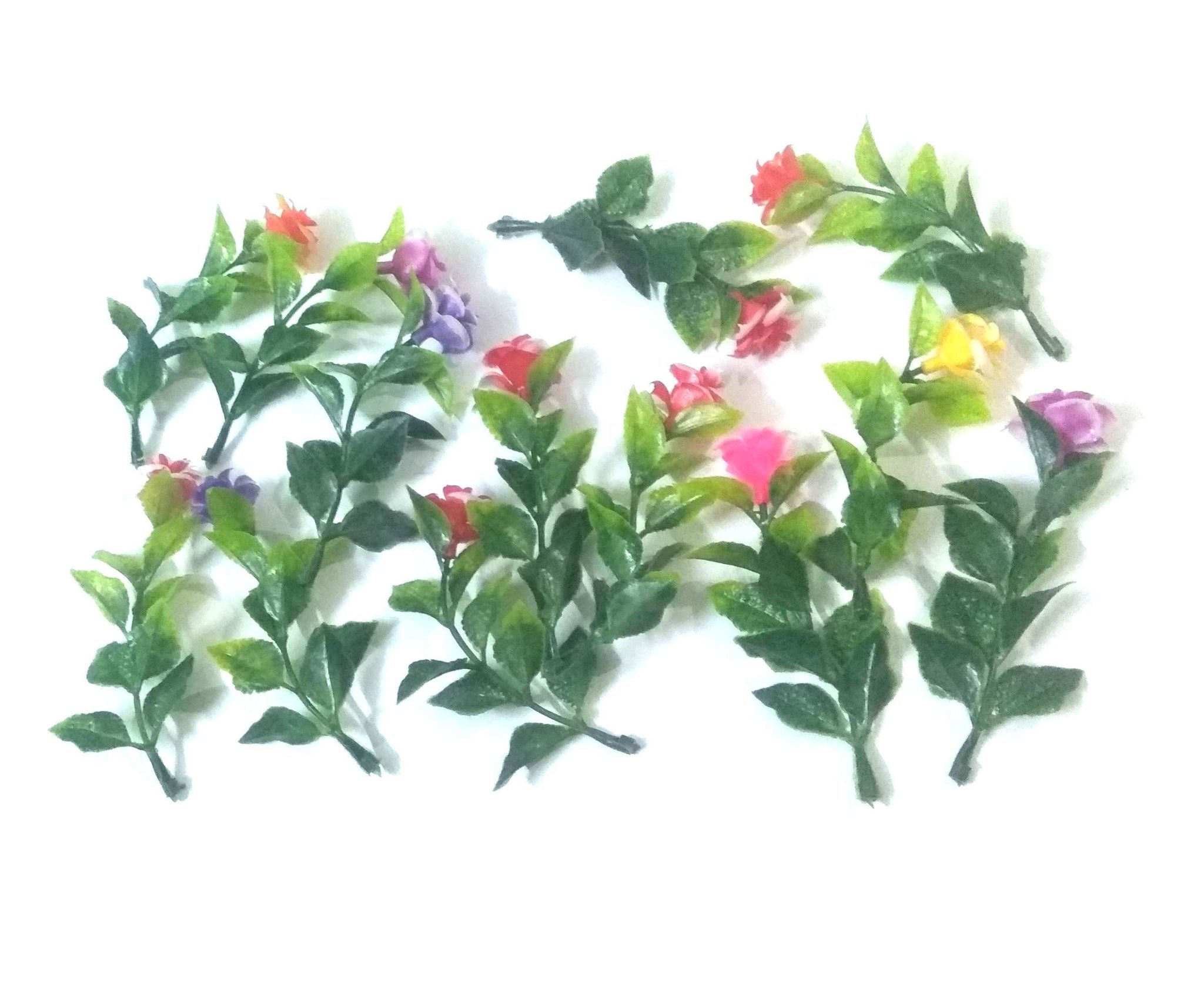 Nawani School Project Leaves Flower 1 Packet (Around 15 Pic Leaves Flower), Size 9/2 cm
