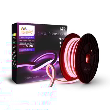 LED 12V DC NEON ROPE LIGHT WITH 2AM DRIVER-Red / 5 meter