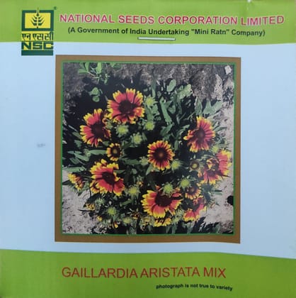 NSC Gaillardia Aristata Mix Flower Seed