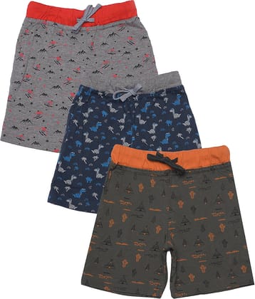 Dollar Champion Kidswear Pack of 3 Cotton Shorts For Boys ( Multicolor )