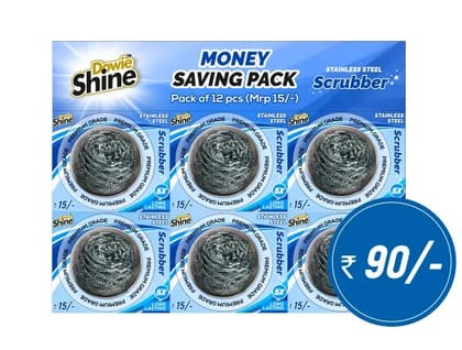 SS SCRUBBER PACK - 6BLISTER PACK