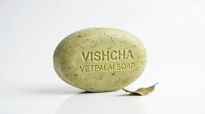 VISHCHA'S Vetpalai Soap Vetpalai plant | Wrightia tinctoria | Sweet Indrajao | Beppale | Tinnampala | Sittankudu. VISHCHA'S Vetpalai Soap Vetpalai plant | Wrightia tinctoria | Sweet Indrajao | Beppale | Tinnampala | Sittankudu.