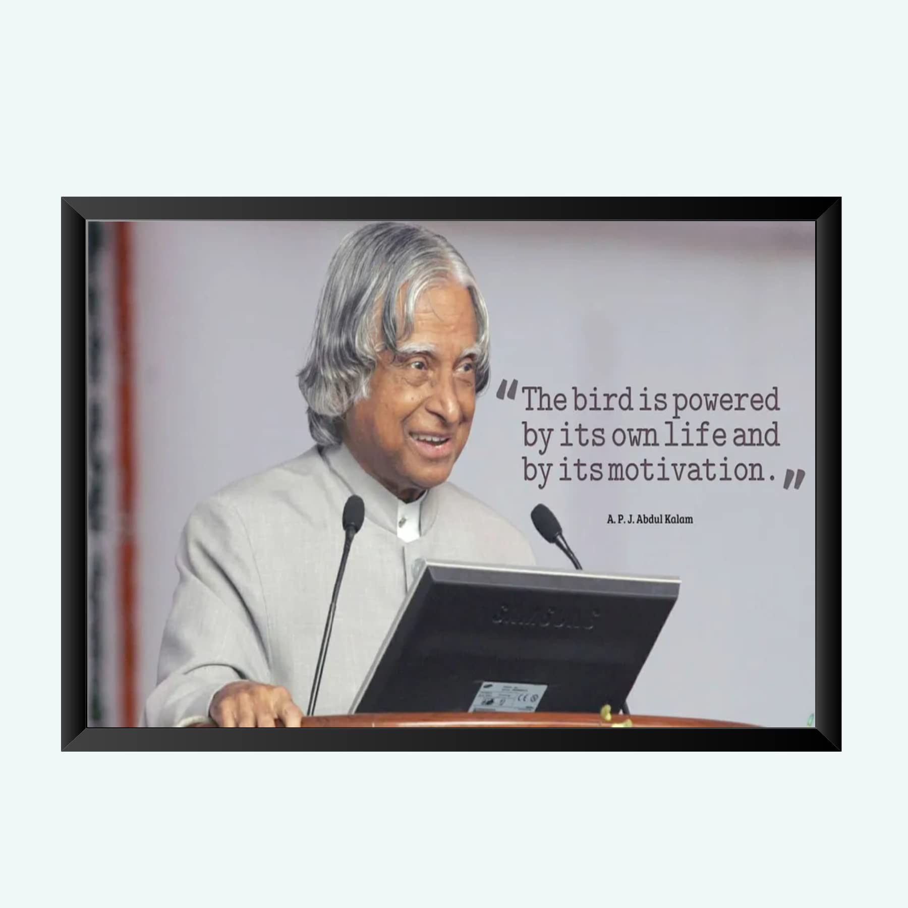 NOKKES A.P.J Abdul Kalam Wall Photo Frame For India Love And Wall Decoration Wall Photo Frame Size 8X12 Inch_A12pp