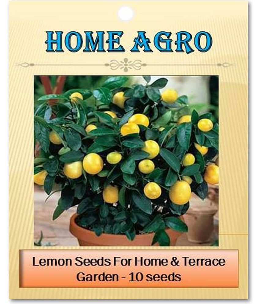 homeagro - Vegetable Seeds ( 10 seed )
