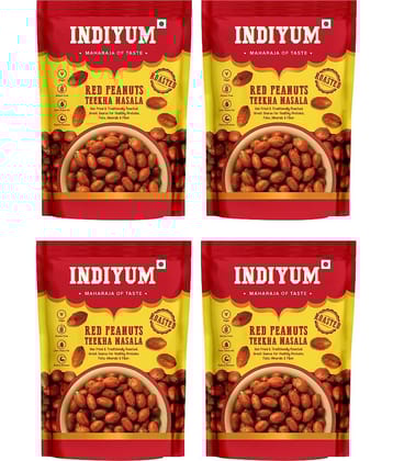 Indiyum Party Mix 480 g Pack of 4
