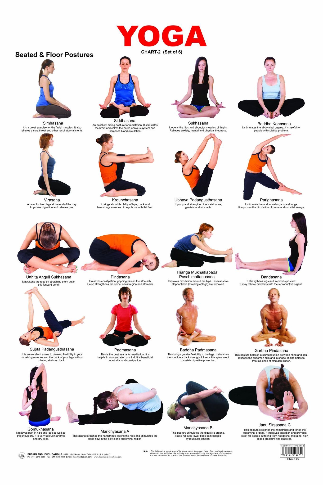 Yoga Chart - 2 Wall Chart - Both Side Hard Laminated (Size 48 x 73 cm) [Poster] Dreamland Publications