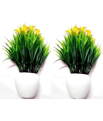 Green plant indoor Wild Flower Yellow Flowers With Pot - Pack of 2