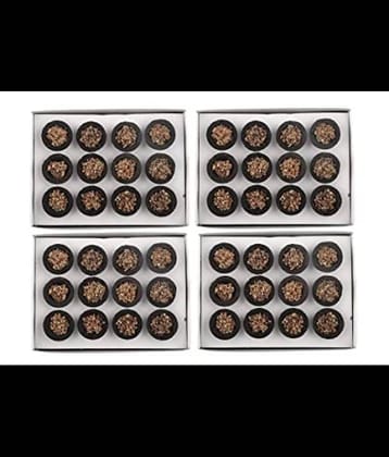 PICKARTME Dhoop Sambrani 48 Havan Cups ( Pack of 4 , Each Pack with 12 Cups)