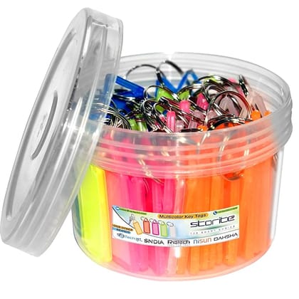 Storite Multicolor Keyring & Keychain with Name Tag Labels Assorted Keychain with Two Side Id Label and Split Ring for Office, Home Key
