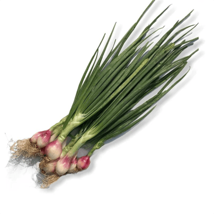 Spring Onion (Hari Pyaz) 150g