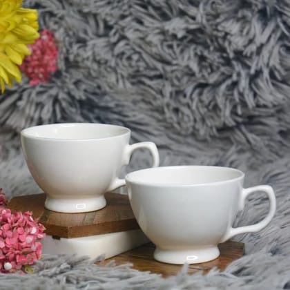 Oasis Italian Coffee Cup Saucer Set | 110 ML | White | Set of 12 Pcs