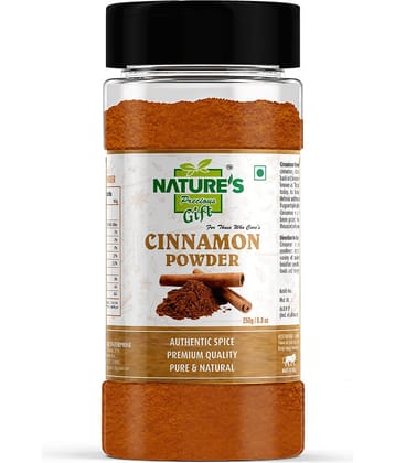 Nature's Gift - 250 gm Cinnamon Powder (Pack of 1)