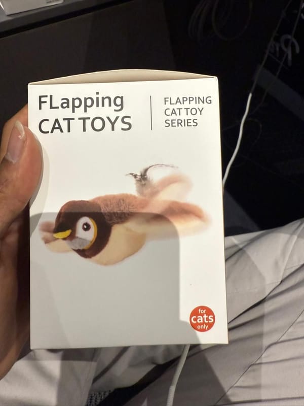 ...