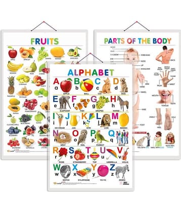 Set of 3 Alphabet, Fruits and Parts of the Body Early Learning Educational Charts for Kids | 20"X30" inch |Non-Tearable and Waterproof | Double Sided Laminated | Perfect for Homeschooling, Kindergarten and Nursery Students