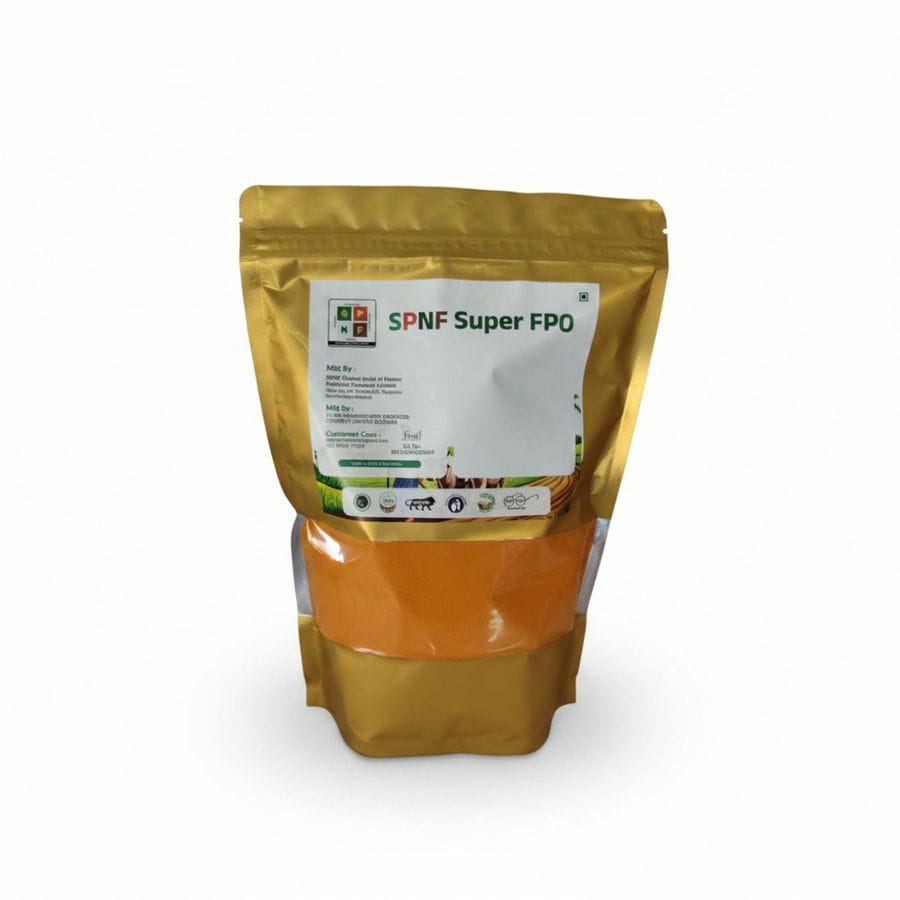 TURMERIC POWDER - 500 gm