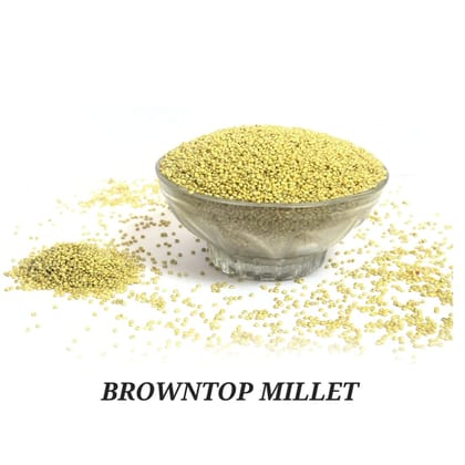 brown top unpolished