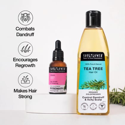 Rosemary And Tea Tree Oil for Dandruff-free Hair Growth Rosemary And Tea Tree Oil for Dandruff-free Hair Growth