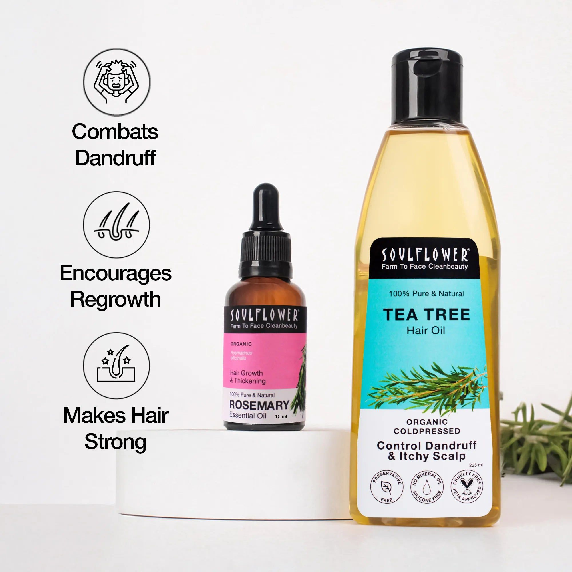 Rosemary And Tea Tree Oil for Dandruff-free Hair Growth