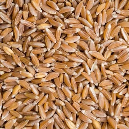 Desi Utthana Organics Javagodhi Flour 500gms