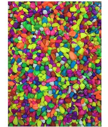 Somil Multicolor Pabbles/Stone For Garden, Plants, Aquarium & Home Decor Wt. 450g