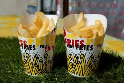 Salted Classic Fries