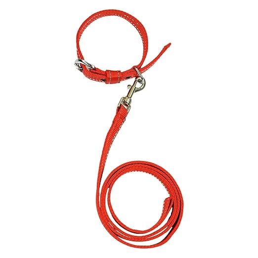 BlingPets Dog Leash and Collar Combo Set | Highly Reflective | Dog Rope for Small, Medium & Large Dogs | (Size- Leash 4.8 Ft. + Collar (Medium, Red)