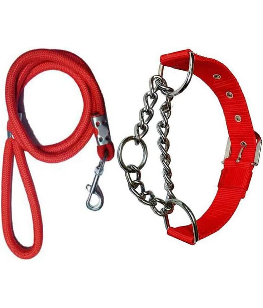 Smart Doggie - Multicolor Dog Collar (Small)