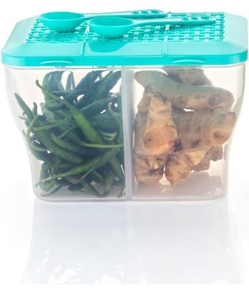 FIT4CHEF Fridge Storage Box PET Aqua Green Multi-Purpose Container ( Set of 1 )